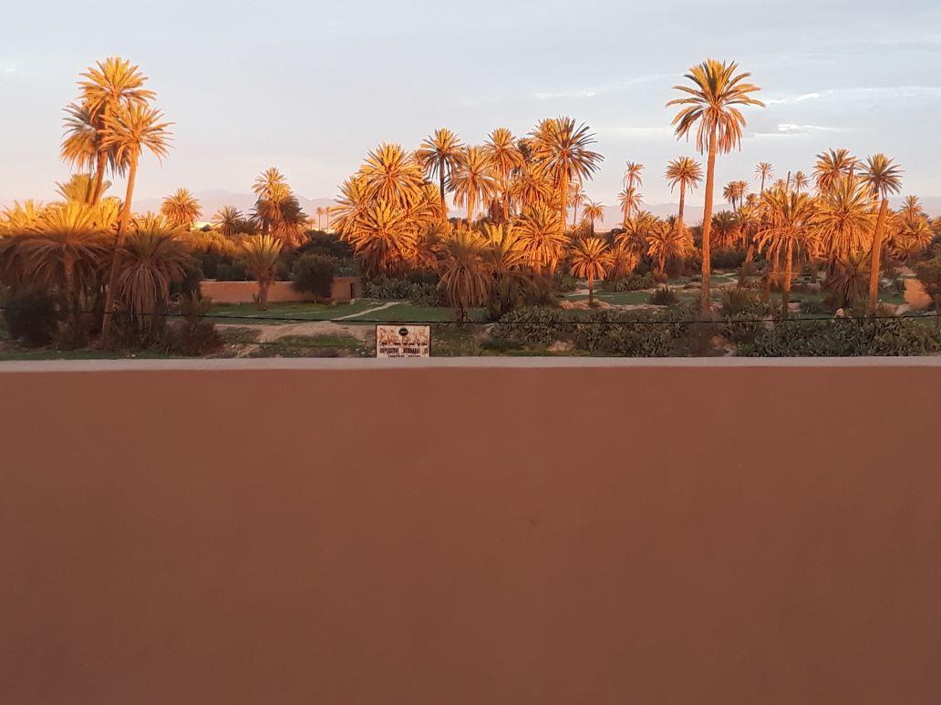 Riad Janoub ทิซนิท ภายนอก รูปภาพ