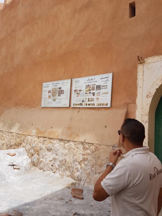 Riad Janoub ทิซนิท ภายนอก รูปภาพ
